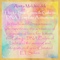 The 12 Star Councils Galactic DNA Template Activations