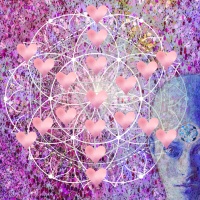 Pleiadian Re-Union of Hearts Attunement Mini Course