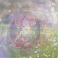 The Lotus Temple and Green Tara Consciousness Codes