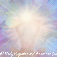 Light Body Upgrades and Ascension Seats Masterclass and Practitioner Training