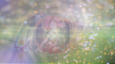 The Lotus Temple and Green Tara Consciousness Codes